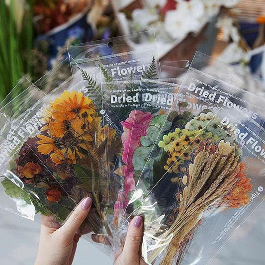 Dried Pressed Flower Stickers