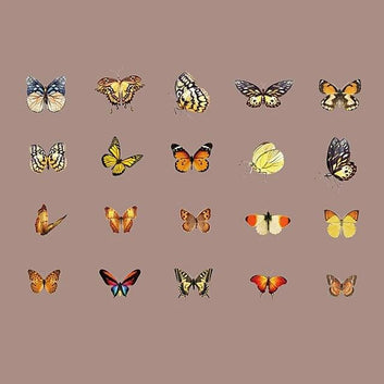 Butterfly Stickers